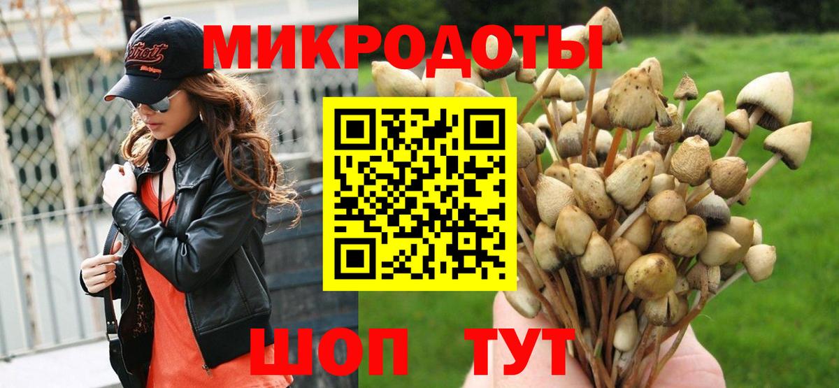 Галлюциногенные грибы Psilocybe  Вход с VPN  продажа наркотиков  Стрежевой 